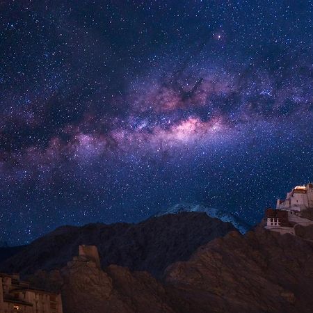 فندق ليهفي  Travellers House المظهر الخارجي الصورة